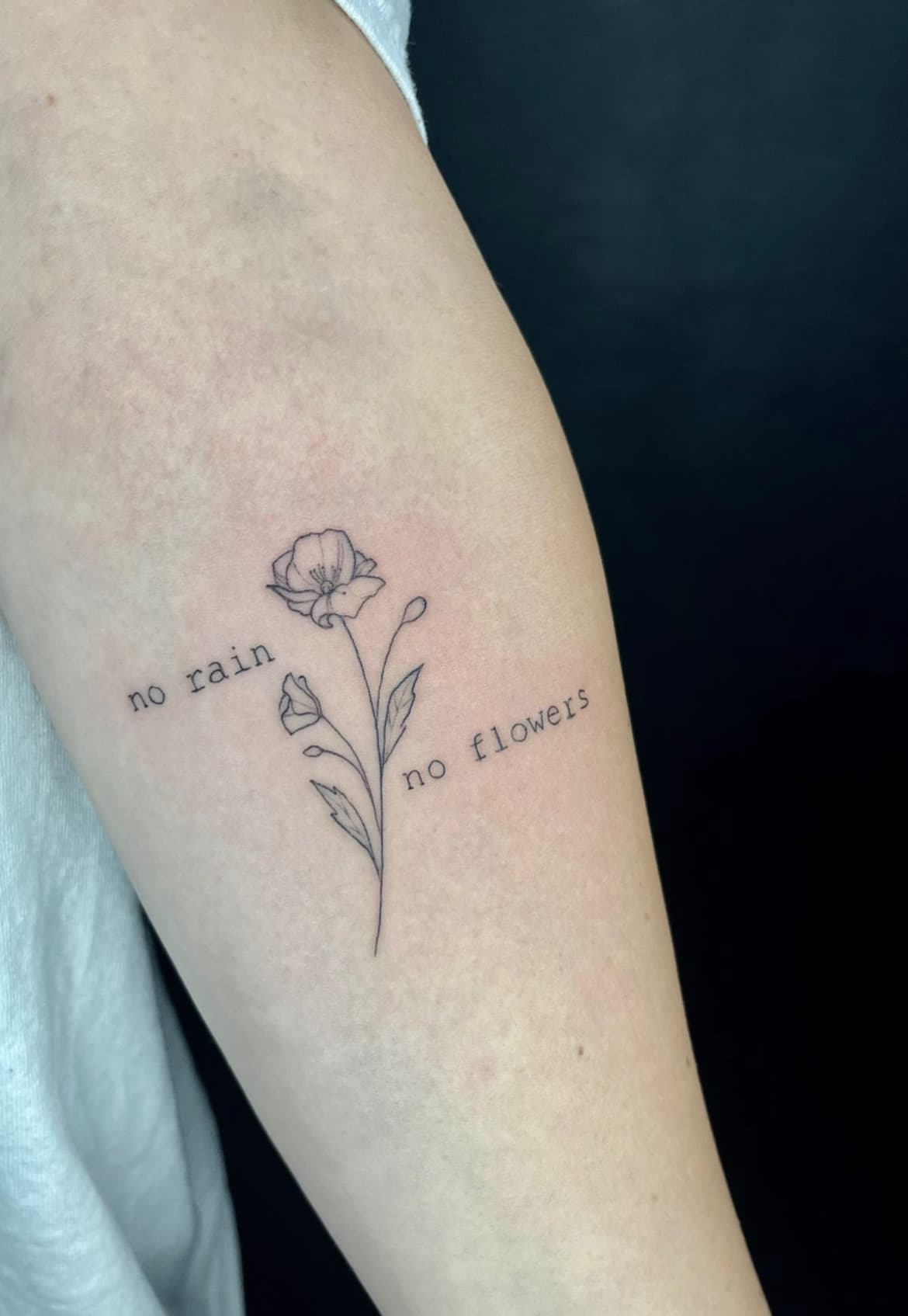 Angolo dello studio Fuori Schema